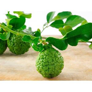 Kaffir lime termés
