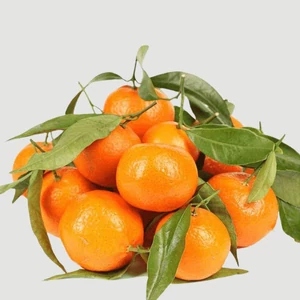 Arena mandarin termés