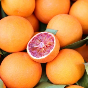 Tarocco narancs termés