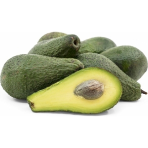 avocado - pinkerton cserépben