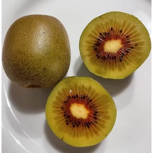 Hongyang pirosas húsú kiwi termés