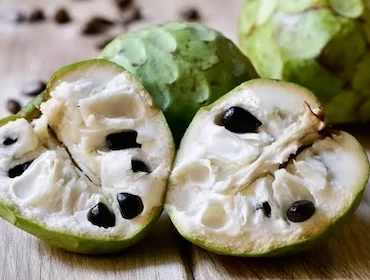 Mediterrane Obstkulturen