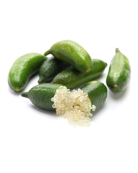 ausztrál fingerlime verde citrom