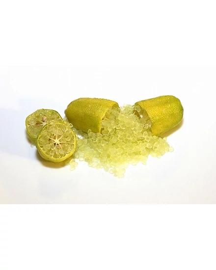 ausztrál fingerlime giallo , sárga citrom termés