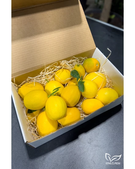 meyer citrom 2 kg eladó
