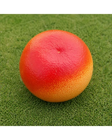 Brasiliano narancsfa termés