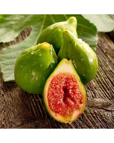 Füge 'Desert King' - Ficus carica