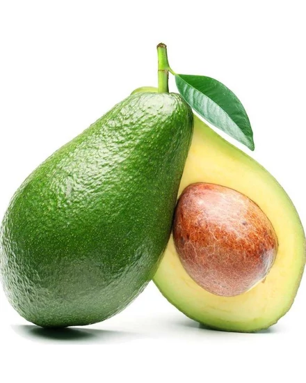 avocado - Ettinger cserépben