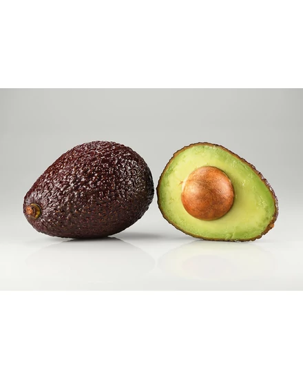 avocado - hass cserépben