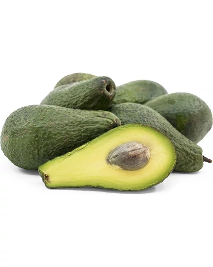 avocado - pinkerton cserépben