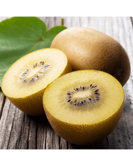 Sárga húsú kiwi, kínai egres, valódi kivi - Actinidia deliciosa 'Golden Kiwi'  termés