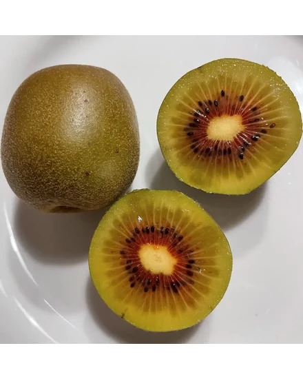Hongyang pirosas húsú kiwi termés