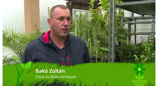 Boli sme v televízii!