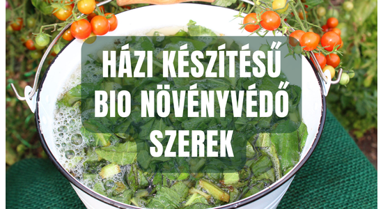 Hogyan erősítsük, gyógyítsuk meg házi készítésű szerekkel növényeinket?