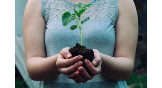 Čo znamená označenie pH zeminy pre kvetináče?