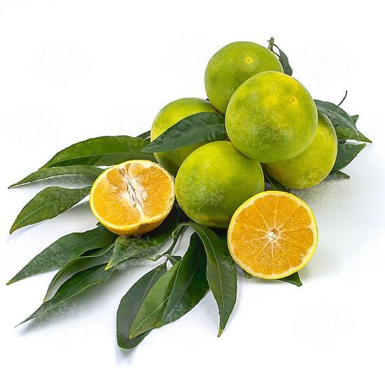 Mapo grapefruit mandarin hibrid fa vásárlás Citrus és Pálma