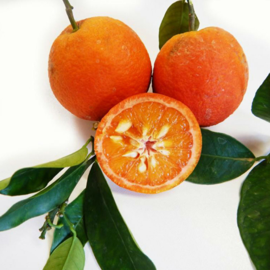 Édes vanília narancsfa termés