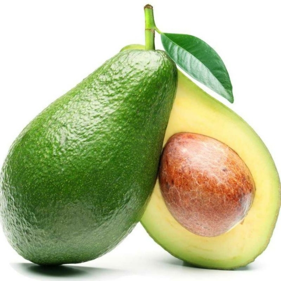 avocado - Ettinger cserépben