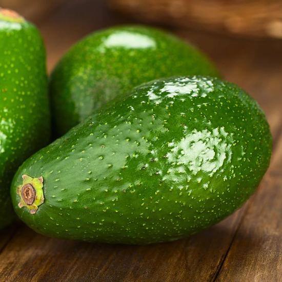 avocado - fuerte cserépben