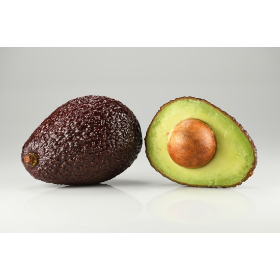 avocado - hass cserépben