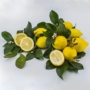 Kép 4/4 - Eureka - citromfa termés