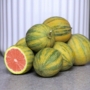 Kép 7/7 - Variegata - citromfa termése