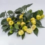 Bild 5/5 - Limetta Pursha - édes lime fa