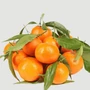 Bild 1/7 - Arena mandarin termés