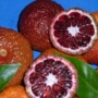 Kép 6/6 - Clementino Ruby Vöröshúsú mandarin mandarin fa termés belseje