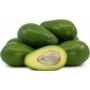 Kép 2/5 - avocado ettinger fa eladó - termése