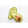Kép 3/5 - avocado ettinger fa eladó - termése