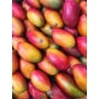 Kép 4/8 - mangó palmer fa eladó - termése